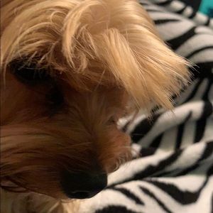 Meet your Posher, Yana